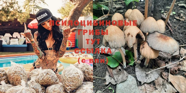 кристаллы Белокуриха