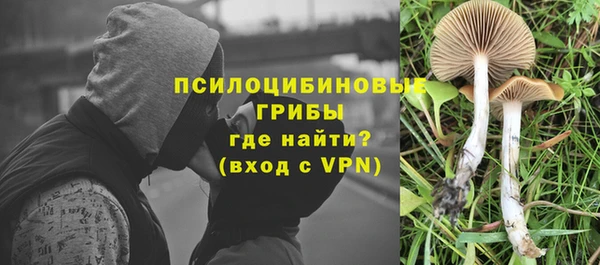 кристаллы Белокуриха
