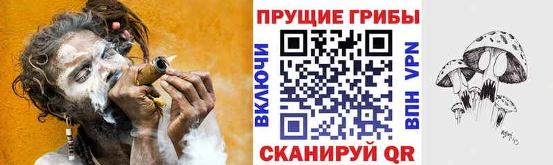 МЕГА как войти  закладки  Первомайск  Галлюциногенные грибы Psilocybe 